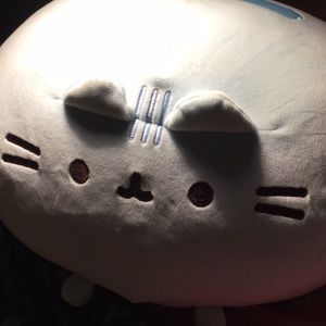 Fluffy nya cat for sale!